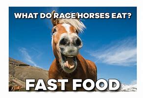 Image result for Funny Red Horse Memes Tagalog