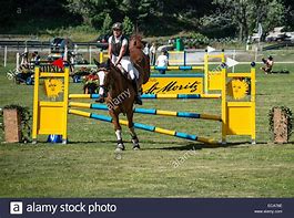 Image result for Horse Jumping with Rider