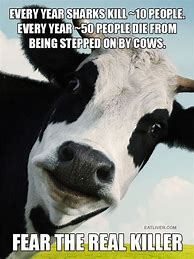 Image result for Funny Cow Quotes