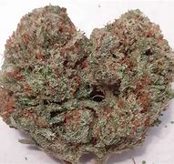 Image result for Fire Buds