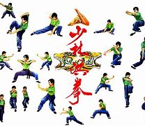 Image result for Kung Fu Styles Amazing Kum Fu