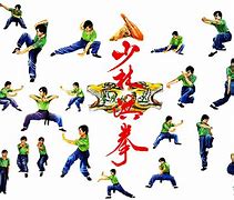 Image result for Chinese Martial Arts Kung Fu