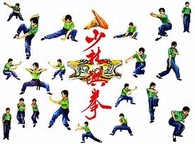 Image result for What Are the Different Styles of Kung Fu