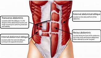 Image result for AB Tucks Target Muscles