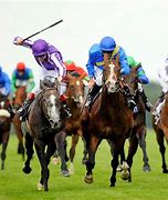 Image result for Race Horse 4