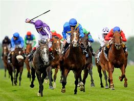 Image result for Race Track Horse Racing