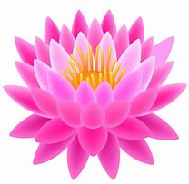 Image result for Lotus Flower Abstract Wallpaper
