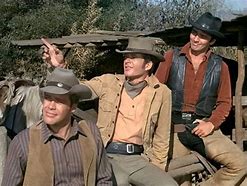 Image result for Western TV Series 60s