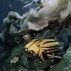 Image result for Jacques Cousteau 18 Meters Deep