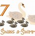 Image result for 7 Swans a Swimming Clip Art