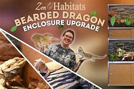 Image result for Bioactive Bearded Dragon Enclosure
