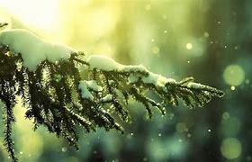 Image result for iPad Winter Screensavers