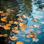 Image result for Leaves 8K Wallpaper