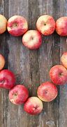 Image result for Are Apples Healthy