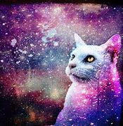 Image result for Galaxy Cat Pictures