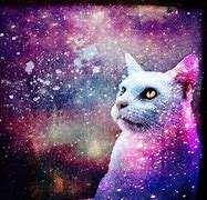 Image result for Fire Galaxy Cat Art