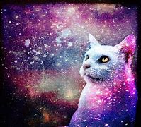 Image result for Cute Anime Galaxy Cat Wallpaper