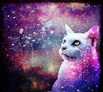 Image result for Cute Galaxy Kittin