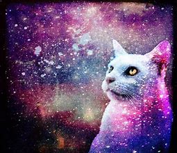 Image result for Cat Art Spiritual Galaxy