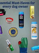 Image result for Dog Safety, Household Products