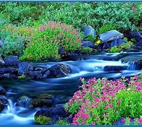Image result for Nature Spring Free Screensavers