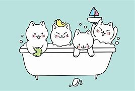 Image result for Cute Cat Bath