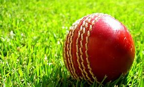 Image result for Cool Cricket Backgrounds