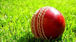 Image result for Cricket Wallpaper for Laptop