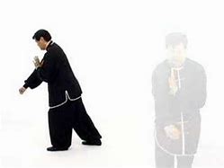 Image result for Wu Style Tai Chi 108 Forms