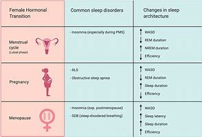 Image result for Male Pregnancy Symptoms
