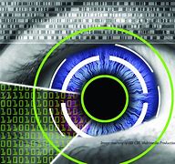 Image result for Crossed Eye Iris Biometrics