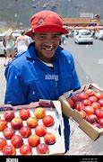 Image result for Different Types of Apple's in South Africa