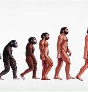 Image result for Evolution of Human Body with Phone