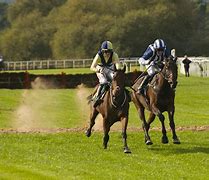 Image result for Horse racing