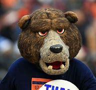 Image result for Funny Chicago Bears Mascots