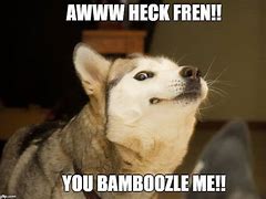 Image result for Bamboozled Doggo Meme