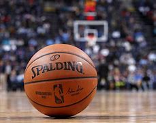 Image result for Wilson NBA Official Game Basketball