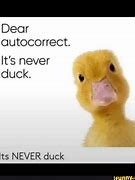 Image result for Duck AutoCorrect Meme