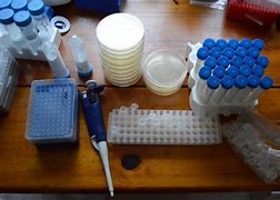 Image result for Gene Editing Tools