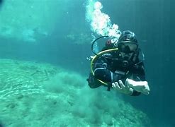Image result for CFB Shearwater