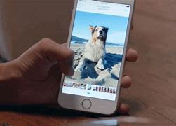 Image result for Templet of iPhone 6s