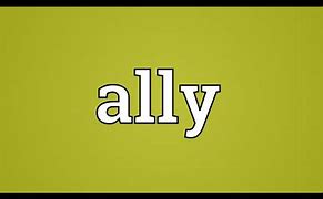 Image result for What Does Ally Mean