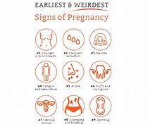 Image result for First Day Pregnancy Sign