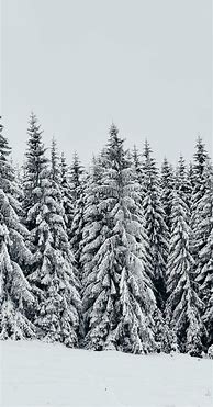 Image result for White Snow Background iPhone