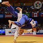 Image result for Basic Judo Throws