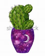 Image result for Cacti Clip Art