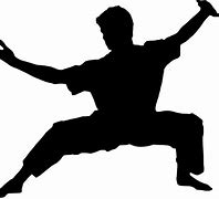 Image result for Kung Fu Styles by Body Type