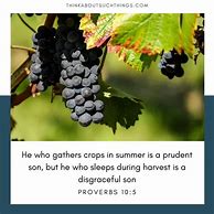 Image result for Summer Bible Verses