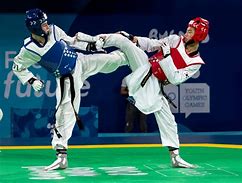 Image result for Taekwondo Martial Arts