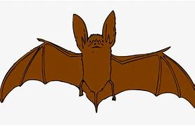 Image result for Brown Bat Drawing